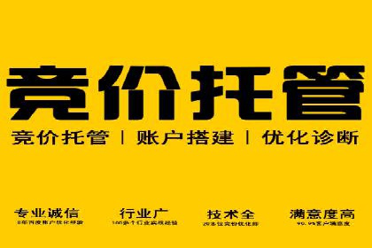 百度竞价推广公司经典案例研究：广告效果最大化策略